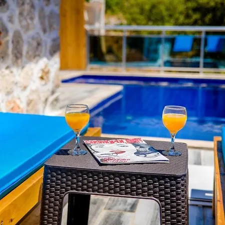 Vilă 2 Bedrooms With Private Pool-reston Bezirgan